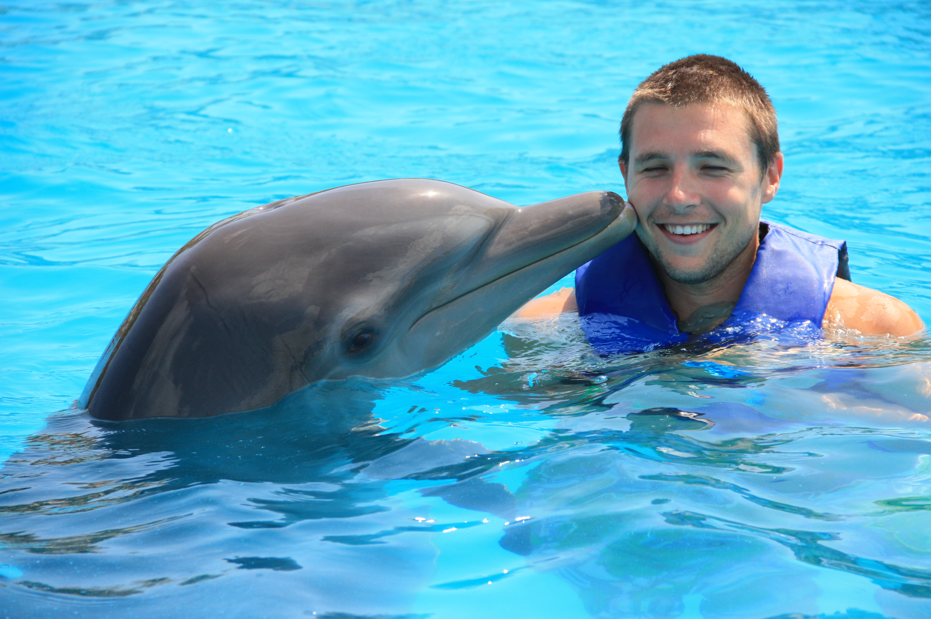 Москвариум поплавать. Плавание с дельфинами. Москвариум поплавать с дельфинами. Бассейн Дельфин. Дельфинотерапия для детей.